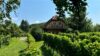 PENTHOUSE mitten im Genussidyll Südsteiermark! Wohnen wie auf Wolke 7 mit Blick auf den Wildoner Schlossberg! Mit dem Lift in ihre Penthouse-Wohnung! - UZXF4384